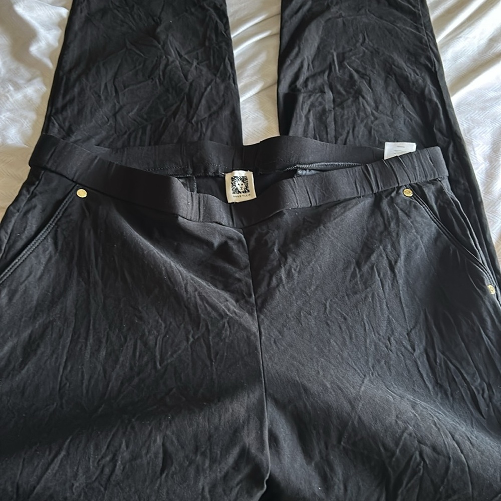 Anne Klein Black Skinny Pants - 1X - Picture 2 of 5